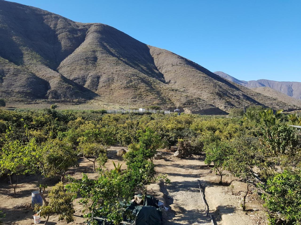 Готель Estancia Los Aguacates Simbal Екстер'єр фото